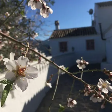 Charming Spanish In Beautiful Nature Malaga