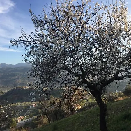 Charming Spanish In Beautiful Nature * Malaga